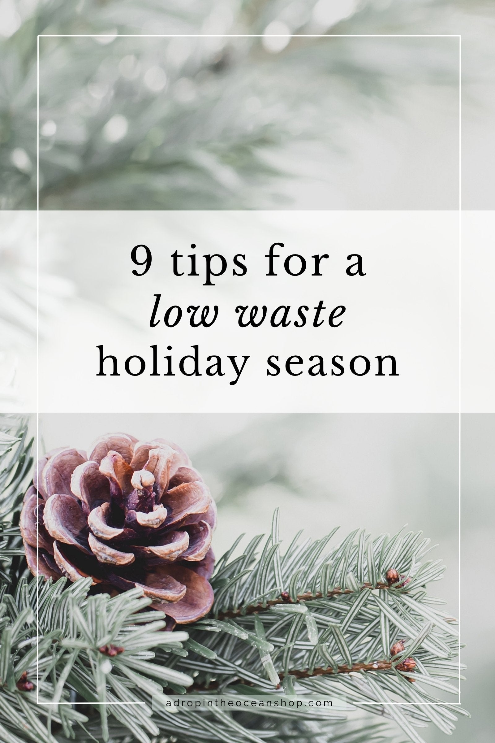 A Drop in the Ocean Zero Waste Blog: 9 Tips for a Low-Waste Holiday Season