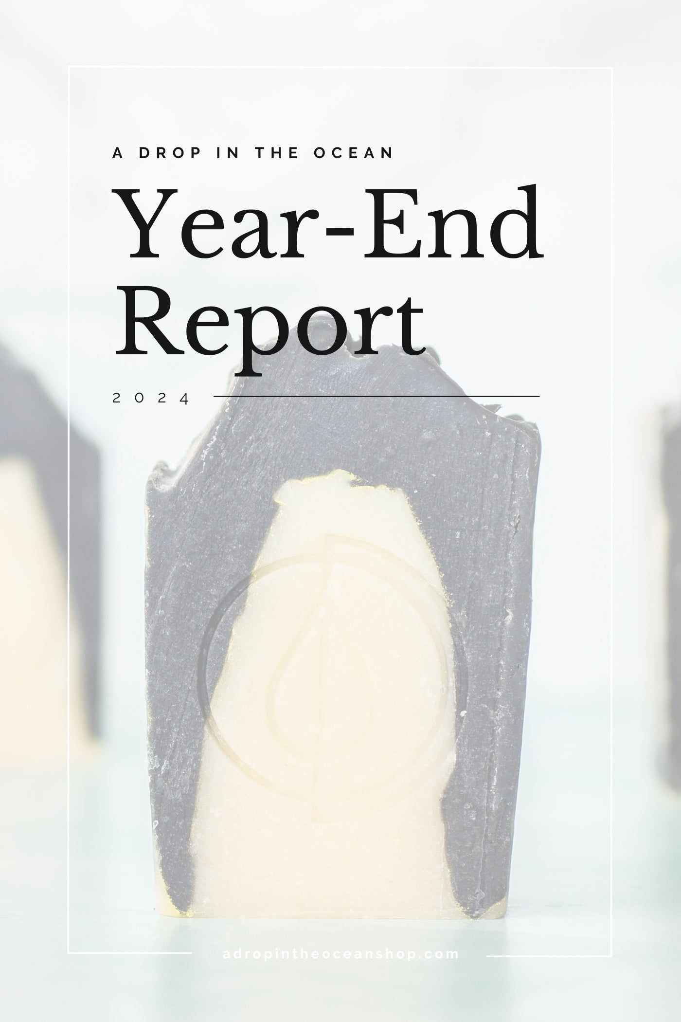 A Drop in the Ocean Zero Waste Refill Store 2024 Year-End Report
