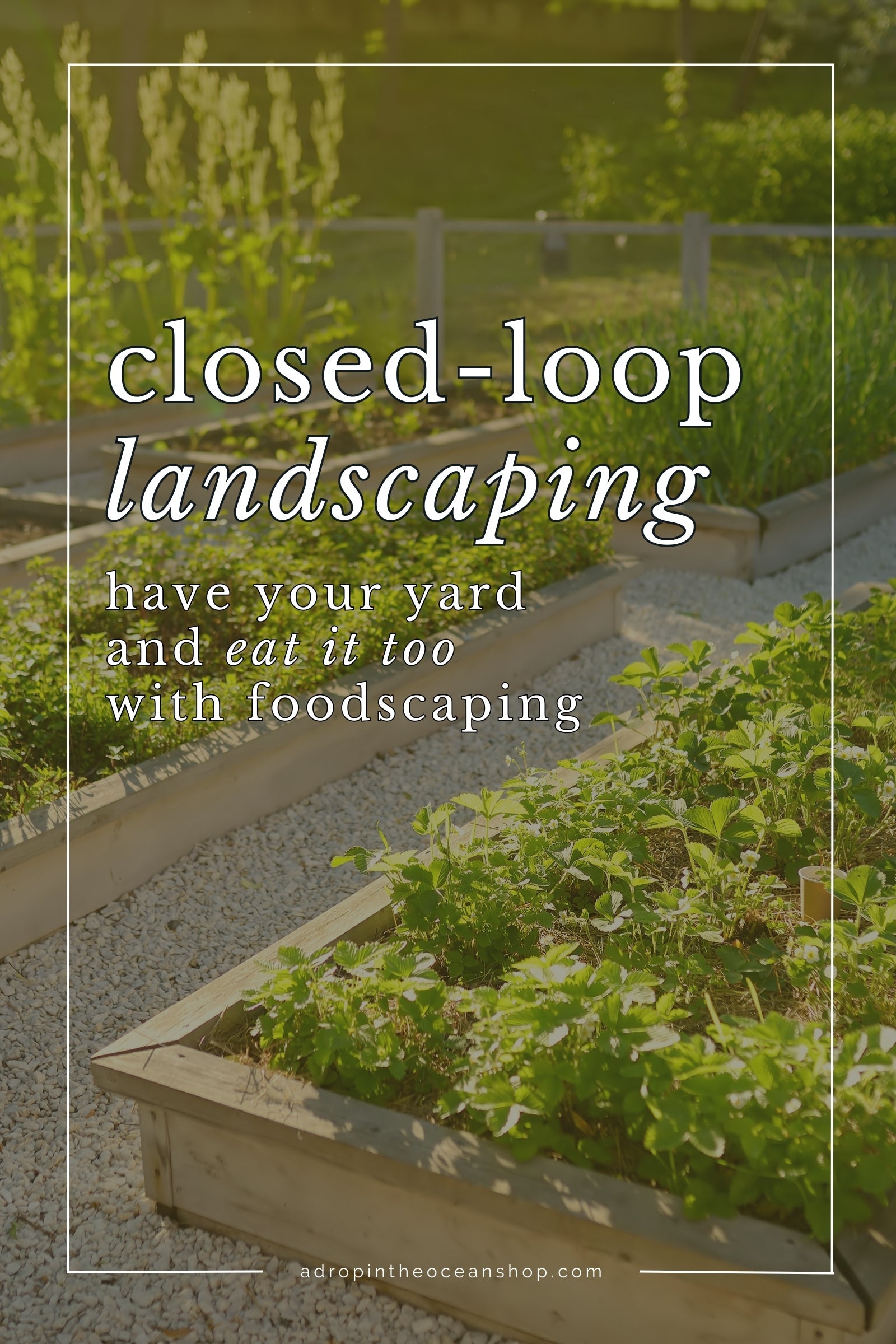 A Drop in the Ocean Shop x Markee Ecological Design: Closed Loop Landscaping - Have Your Yard and Eat It Too with Foodscaping