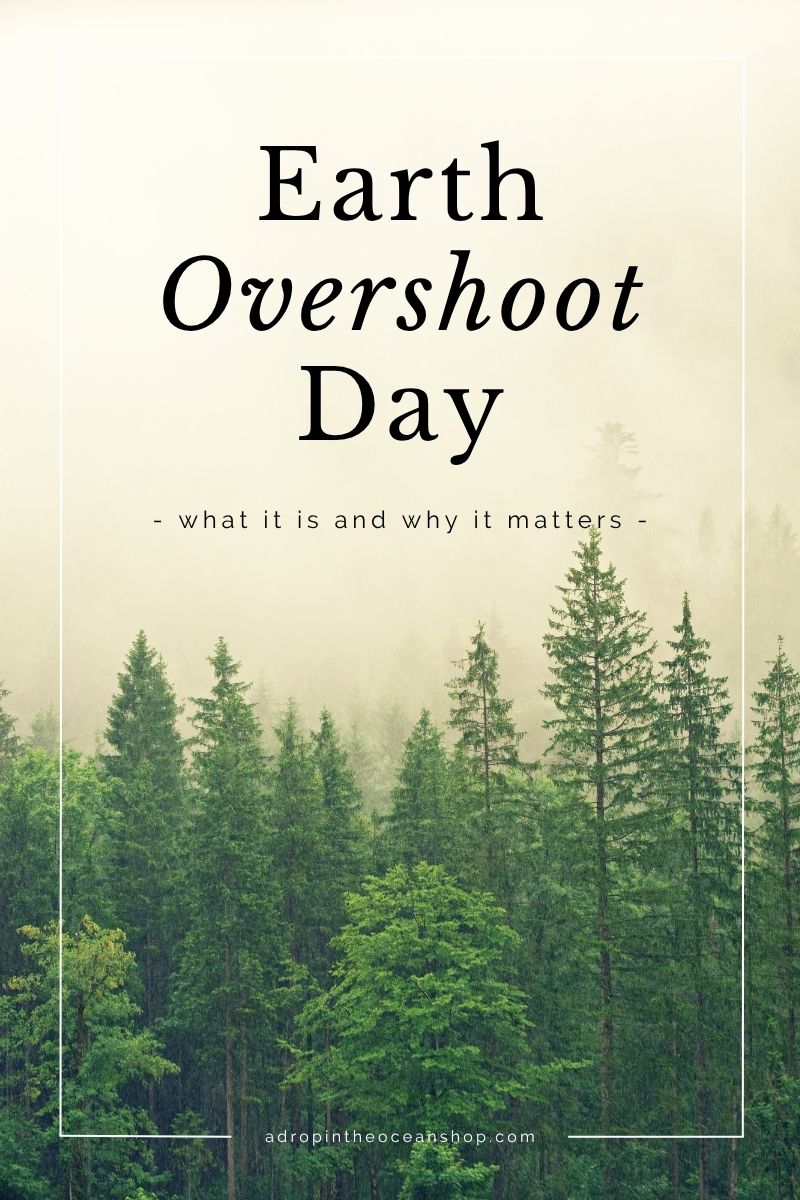 A Drop in the Ocean Zero Waste Blog: What is Earth Overshoot Day and Why Does it Matter?