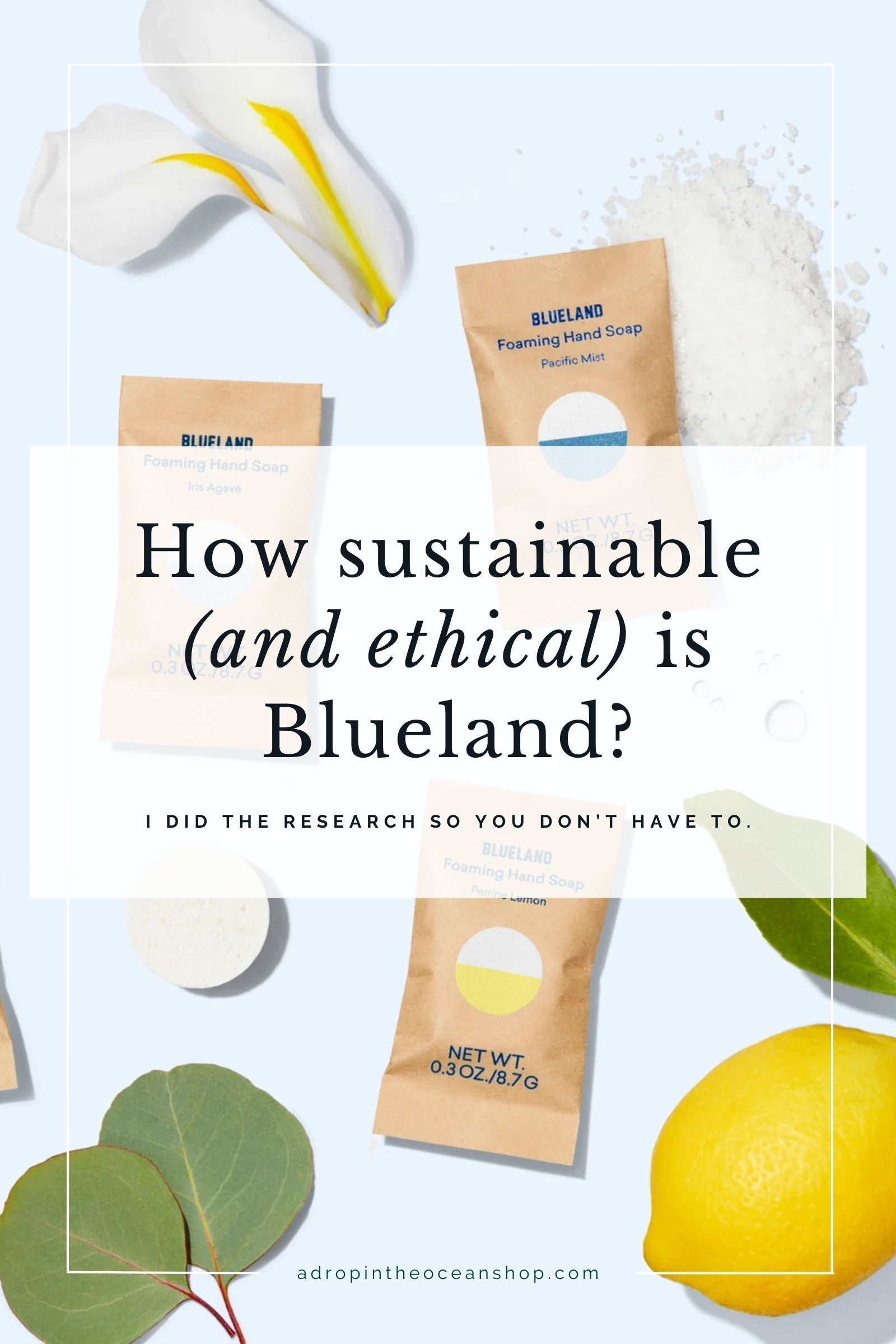 A Drop in the Ocean Zero Waste Blog: How sustainable (and ethical) is Blueland? I did the research so you don't have to.