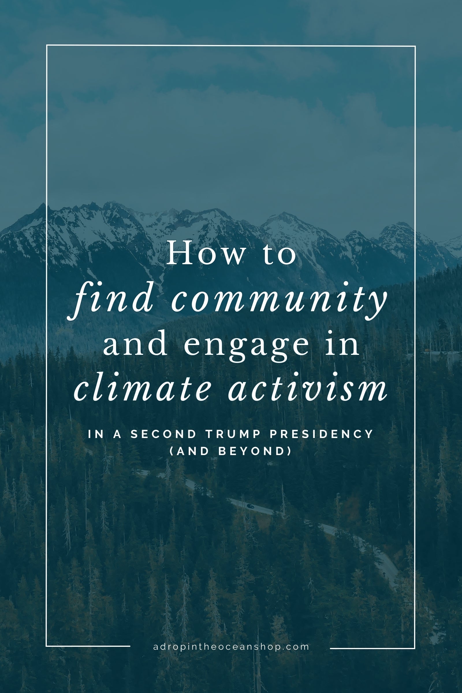 A Drop in the Ocean Zero Waste Blog: How to Find Community and Engage in Climate Activism in a Second Trump Presidency (and Beyond)