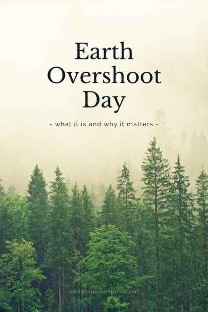 What is Earth Overshoot Day and why does it matter A Drop in