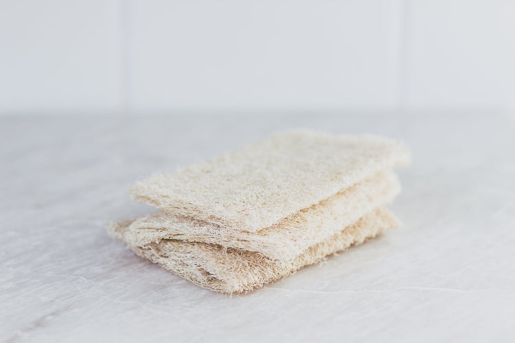 A Drop in the Ocean Sustainable Living Zero Waste Plastic Free Shop Natural Loofah Sponges (Set of 6) Reusable Goods