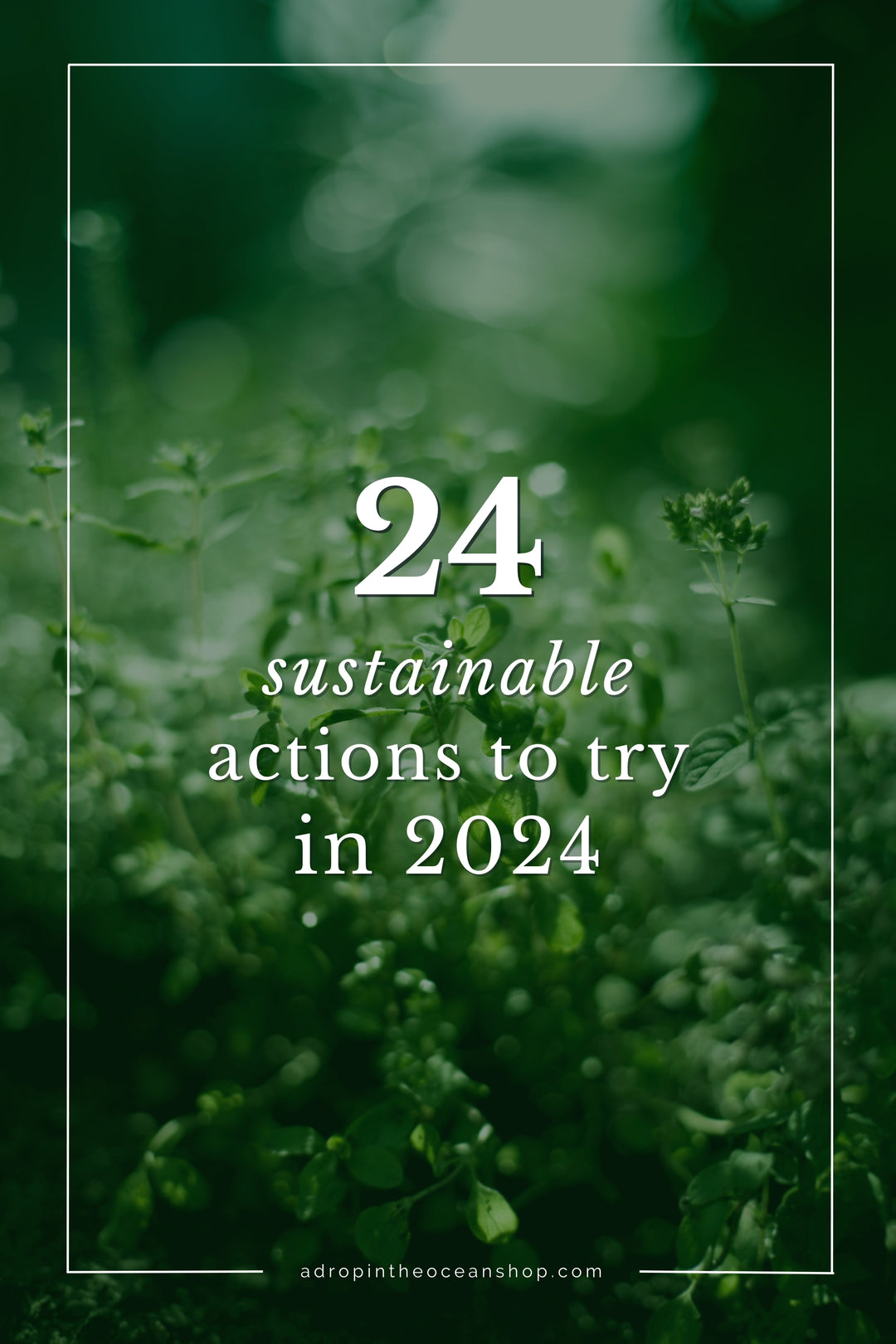 A Drop in the Ocean Blog: 24 Sustainable Actions to Try in 2024