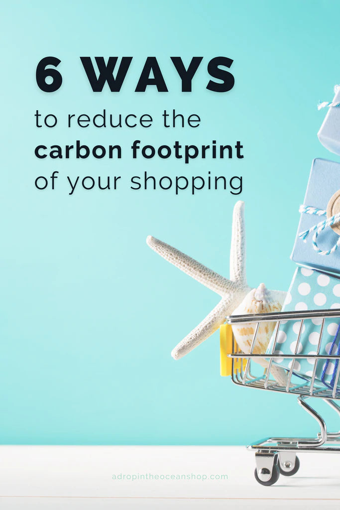 A Drop in the Ocean Tacoma Zero Waste Sustainable Living Blog 6 Ways to Reduce the Environmental Footprint of Shopping