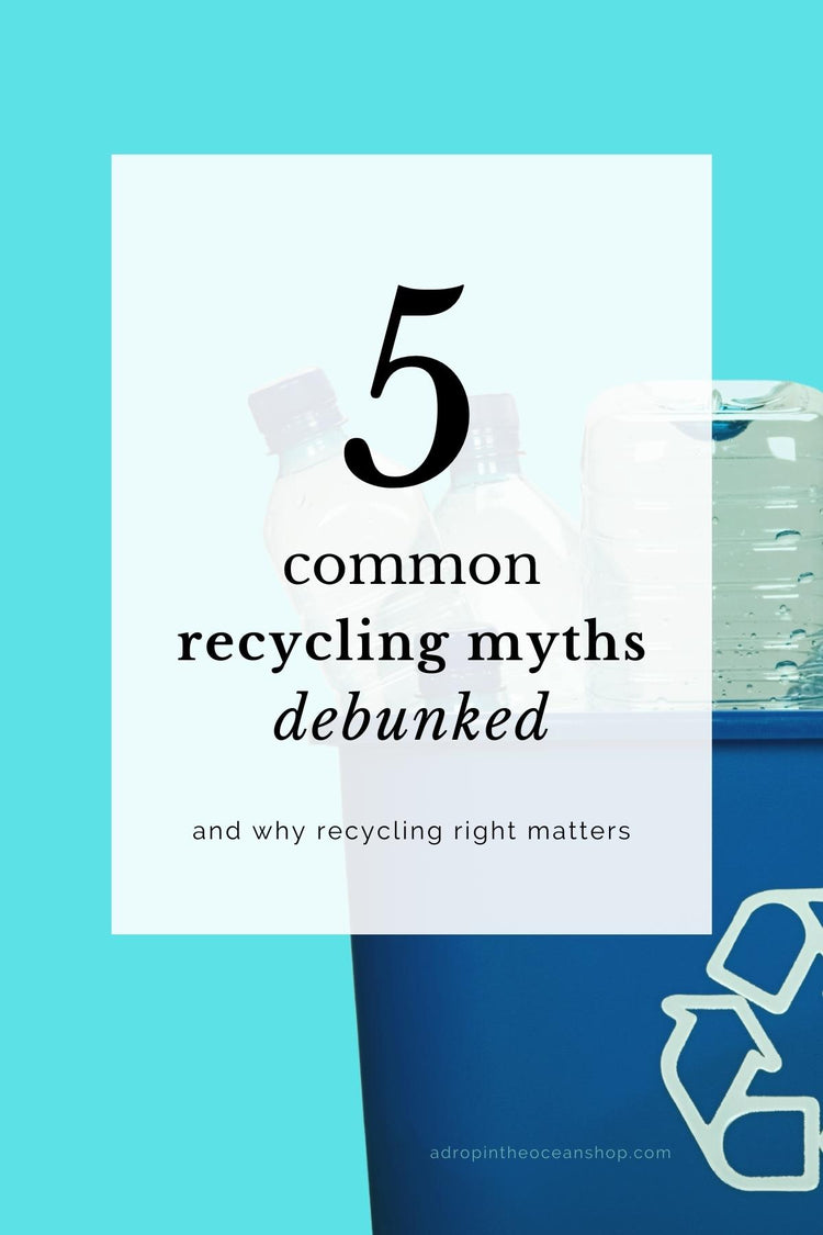 5 Common Recycling Myths, Debunked – A Drop in the Ocean
