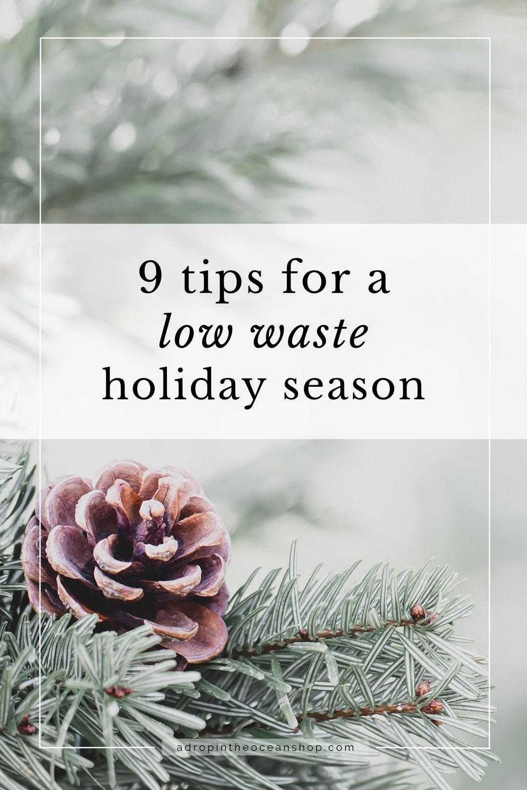 A Drop in the Ocean Zero Waste Blog: 9 Tips for a Low-Waste Holiday Season