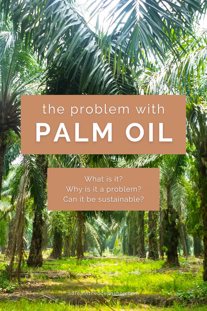 Palm Oil: What is it, why is it a problem, and can it be