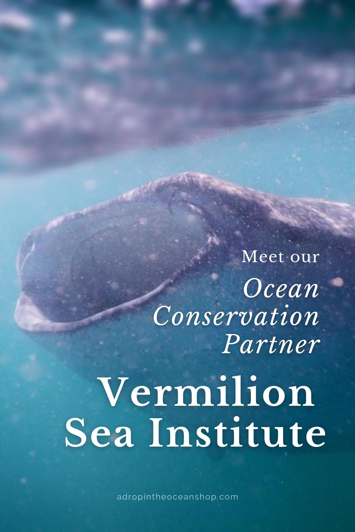 A Drop in the Ocean Zero Waste Store Ocean Conservation Partner Vermilion Sea Institute Field Station