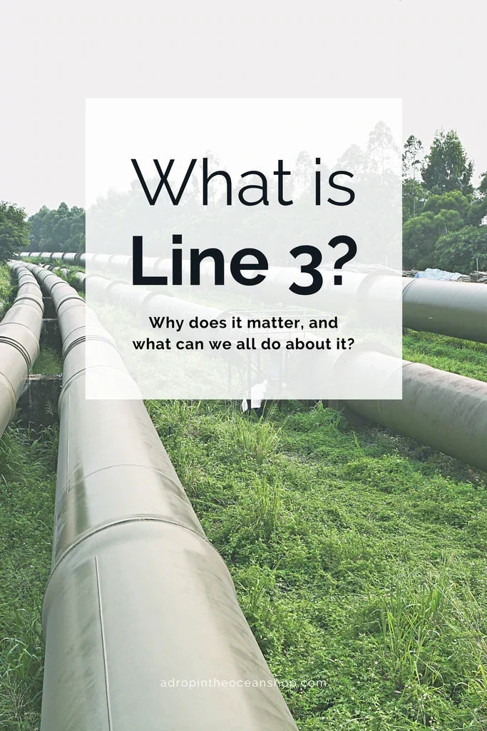 A Drop in the Ocean Zero Waste Sustainable Living Blog What is Line 3 and what can we do about it?