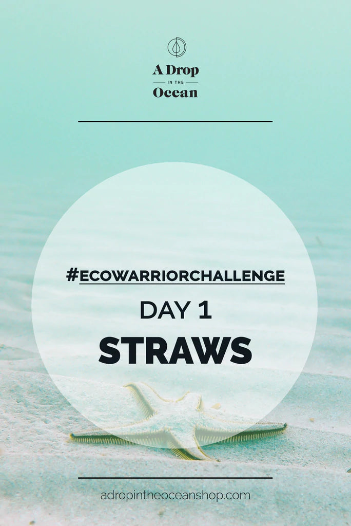 A Drop in the Ocean Sustainable Living Zero Waste Plastic Free Blog #EcoWarriorChallenge - DAY 1 - Straws
