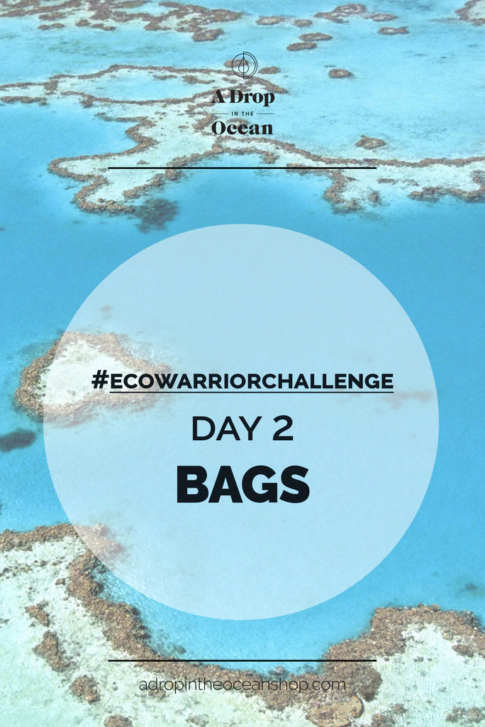 A Drop in the Ocean Sustainable Living Zero Waste Plastic Free Blog #EcoWarriorChallenge - DAY 2 - Bags