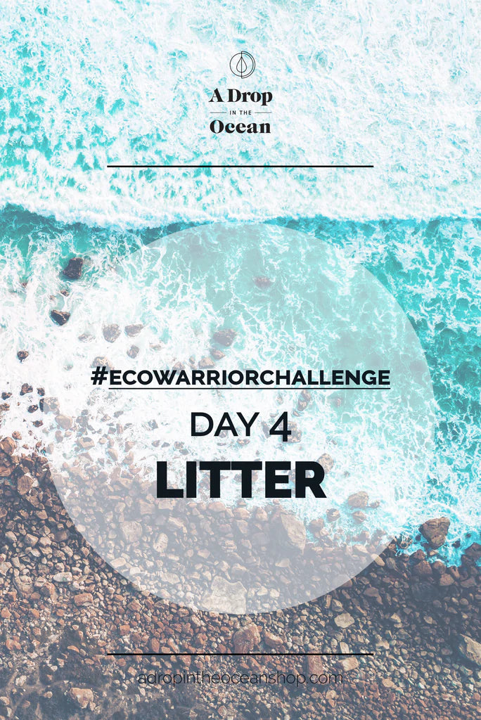 A Drop in the Ocean Sustainable Living Zero Waste Plastic Free Blog #EcoWarriorChallenge - DAY 4 - Litter