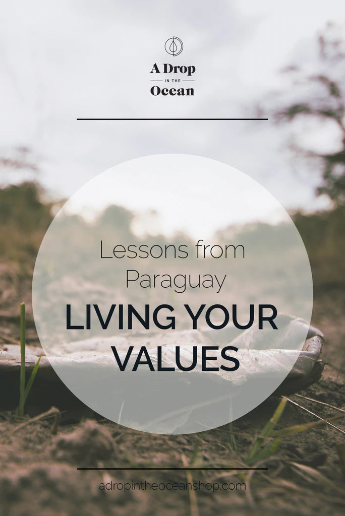 A Drop in the Ocean Sustainable Living Zero Waste Plastic Free Blog Lessons from Paraguay: Living Your Values