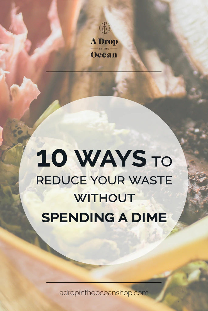 A Drop in the Ocean Sustainable Living Zero Waste Plastic Free Blog 10 Ways to Reduce Your Waste Without Spending a Dime