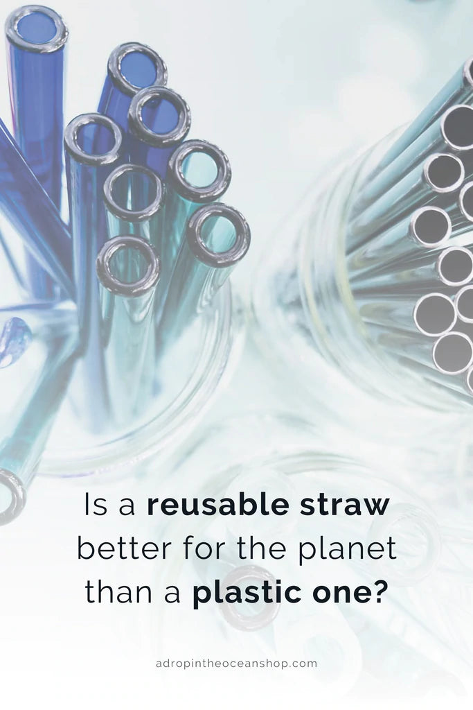 A Drop in the Ocean Tacoma Zero Waste Sustainable Living Blog Is a reusable straw better than a plastic one?