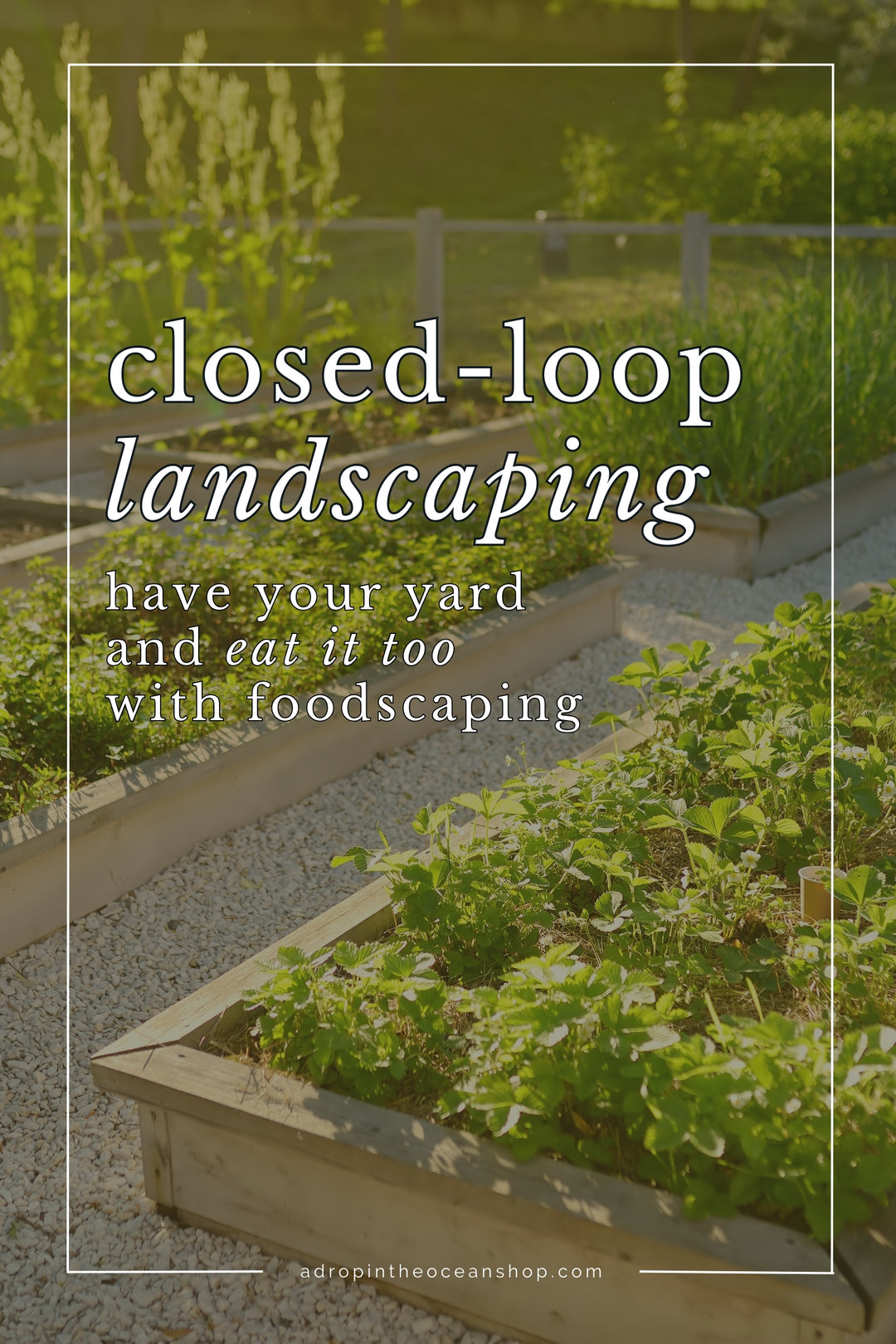 A Drop in the Ocean Shop x Markee Ecological Design: Closed Loop Landscaping - Have Your Yard and Eat It Too with Foodscaping