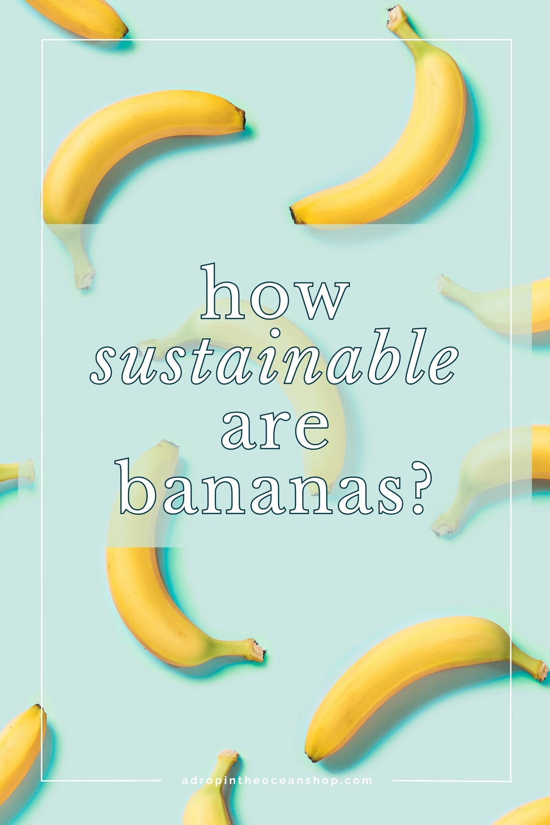 How sustainable are bananas?