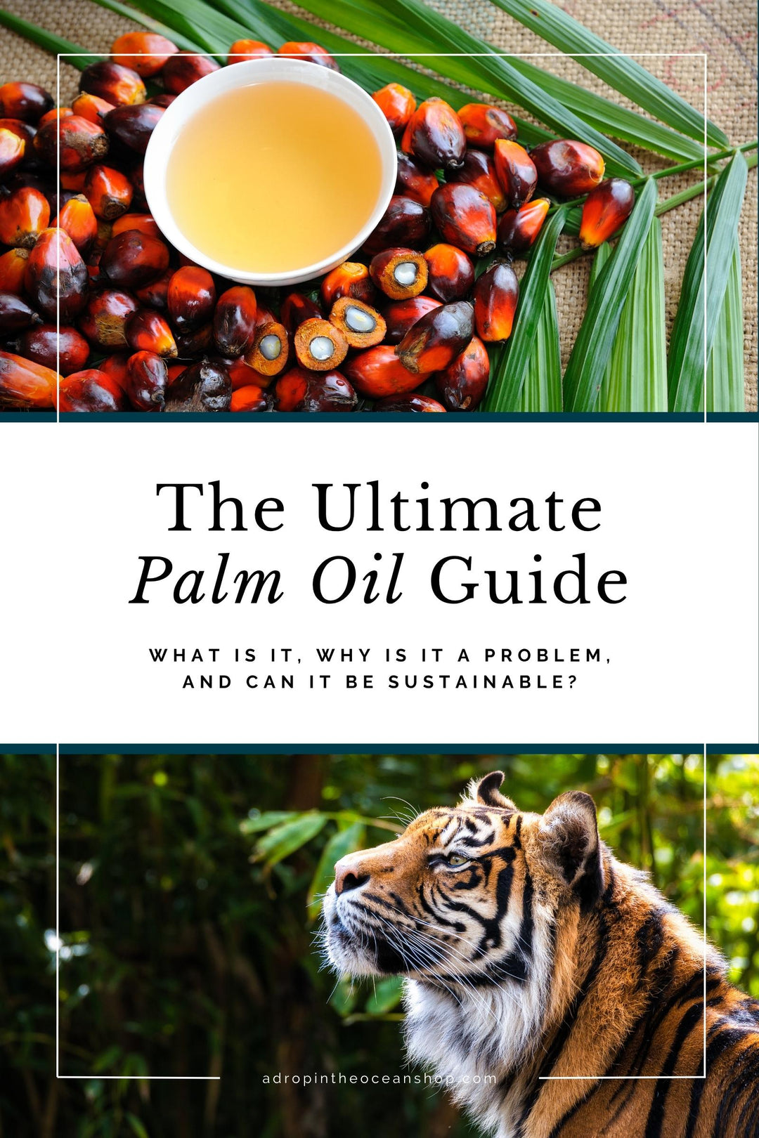 A Drop in the Ocean Zero Waste Blog: The Ultimate Palm Oil Guide