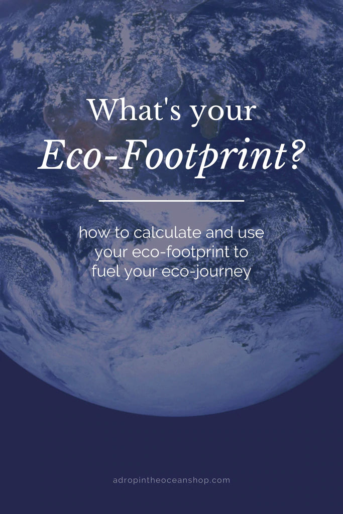 What's Your Eco-Footprint?