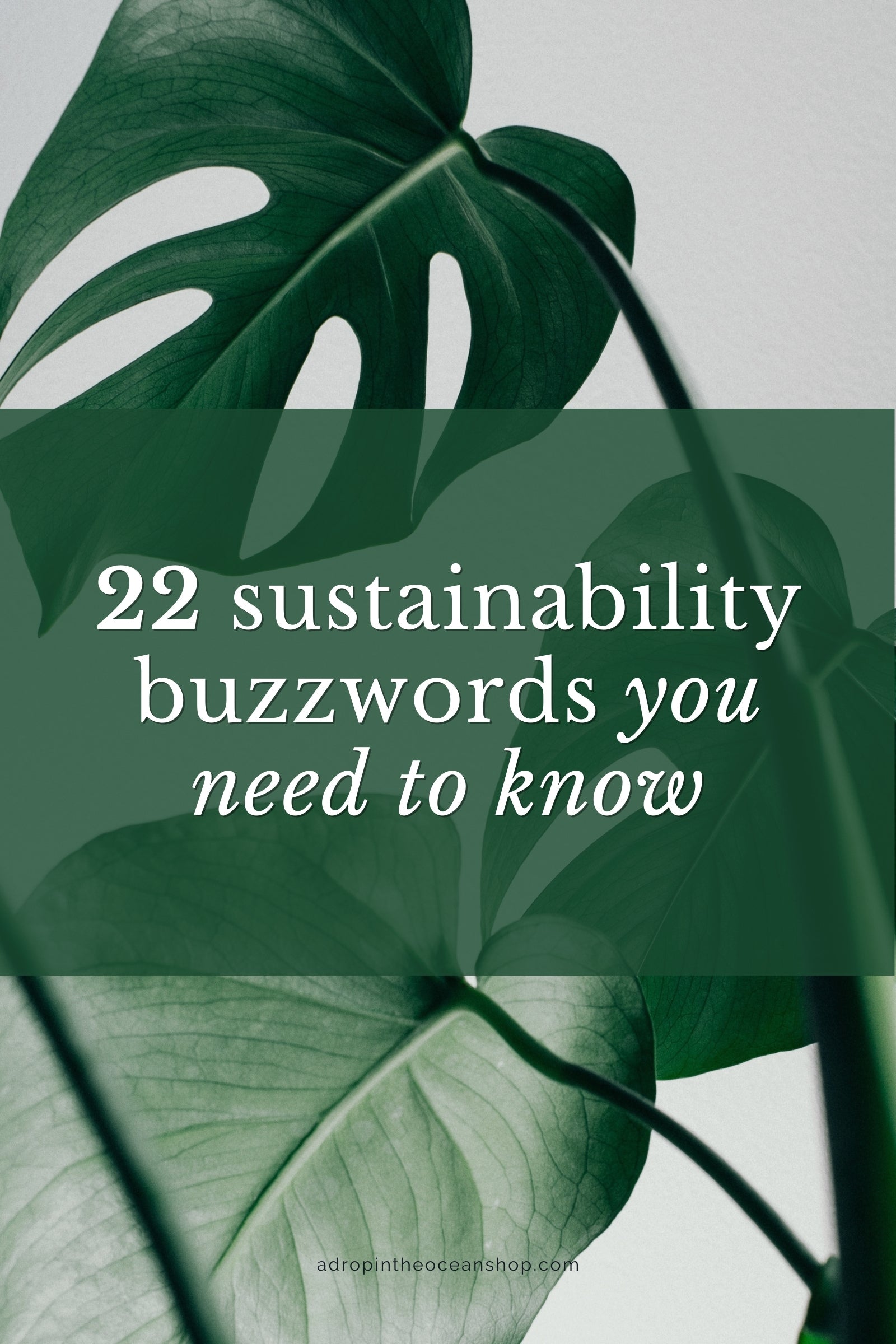 22 Sustainability Buzzwords You Need To Know & What They Mean – A Drop ...