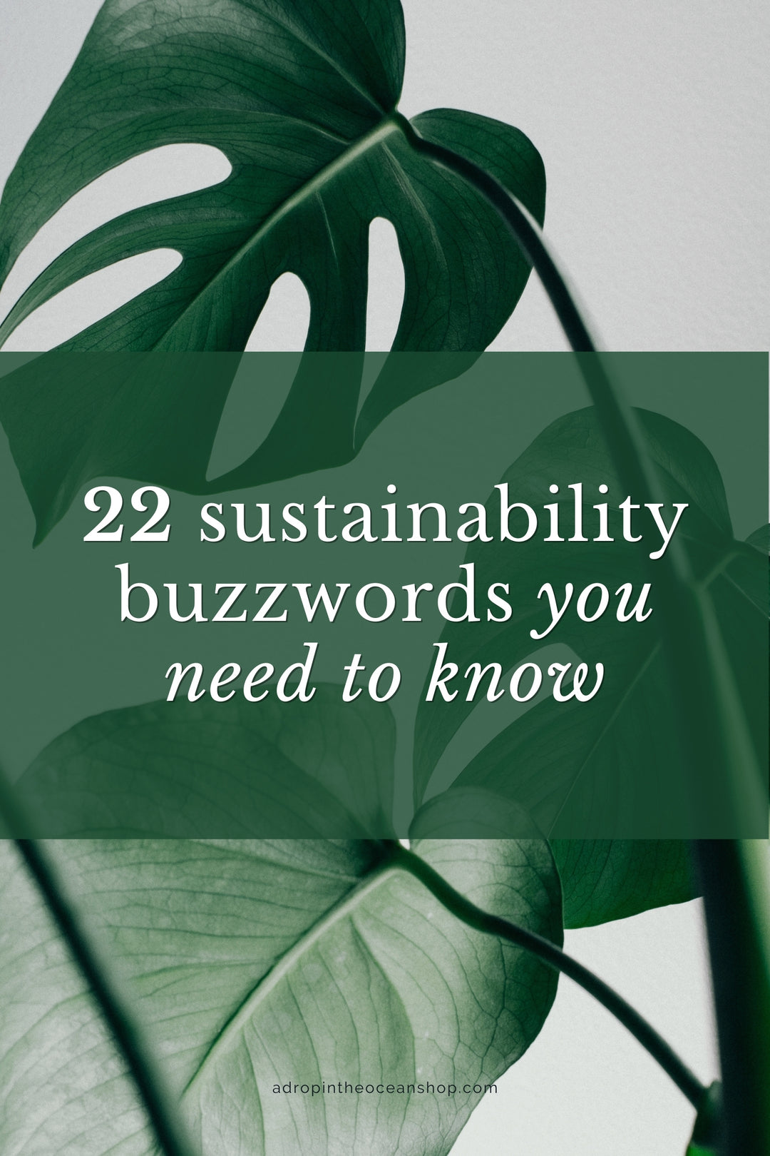 A Drop in the Ocean Zero Waste Blog: 22 Sustainability Buzzwords You Need to Know