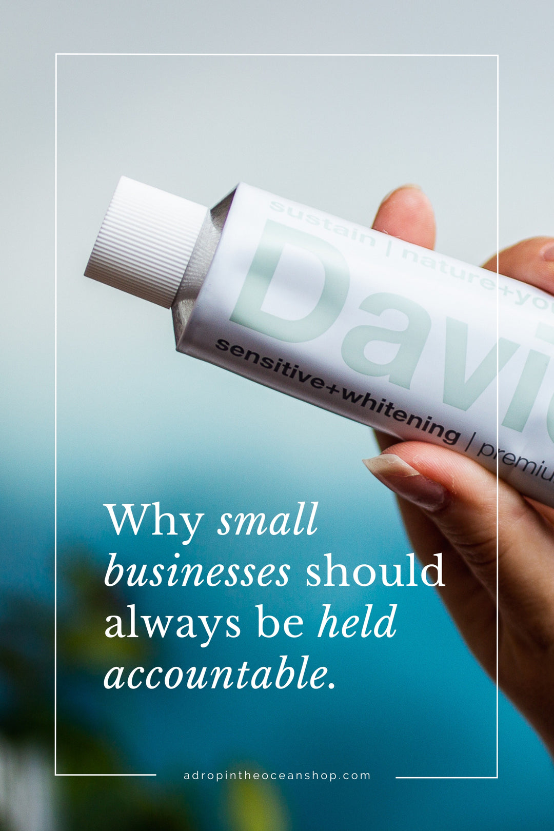A Drop in the Ocean Blog: Why Small Businesses Should Always be Held Accountable