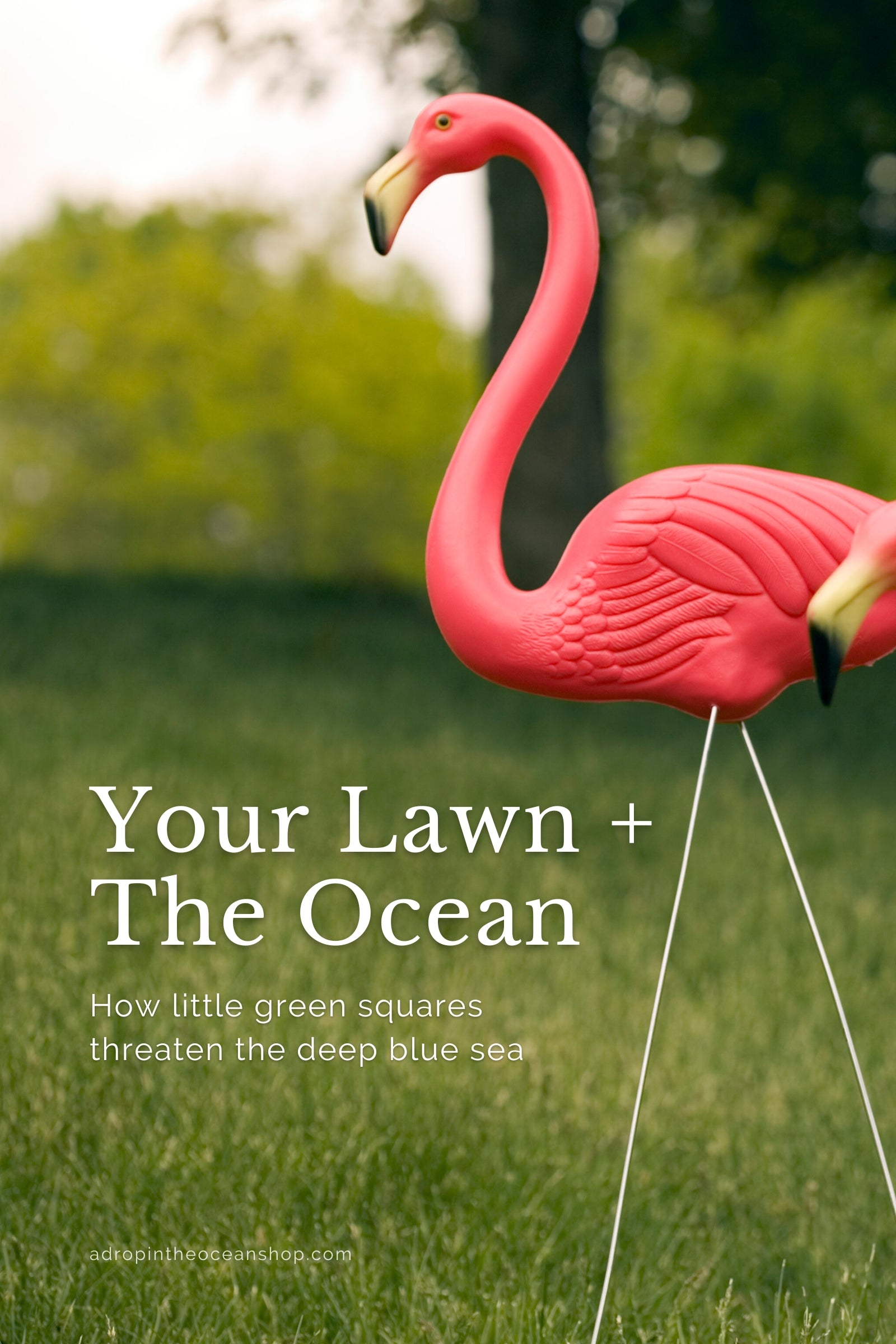 Your Lawn and the Ocean How green squares threaten the sea A