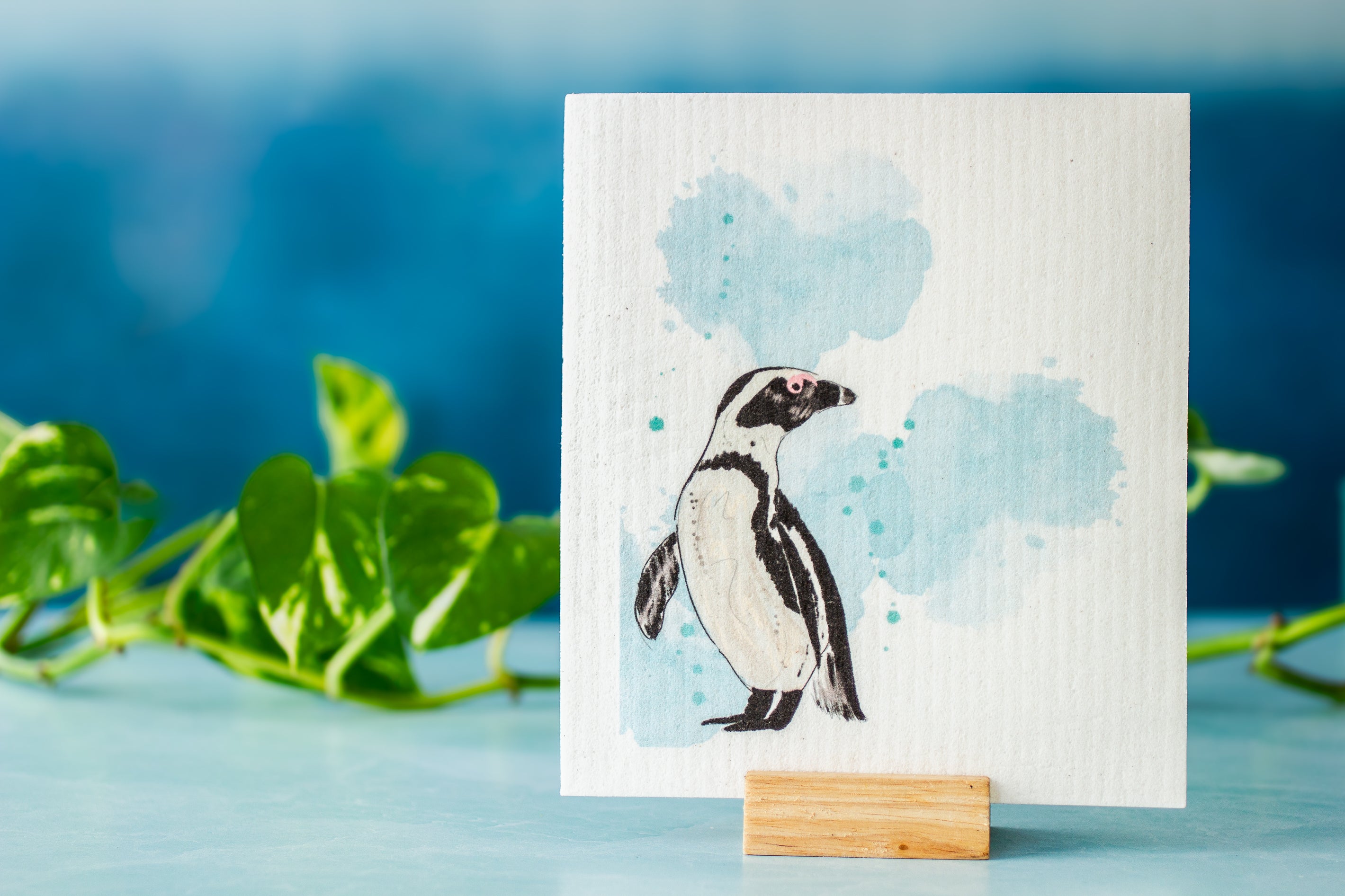 A Drop in the Ocean Tacoma Zero Waste Sustainable Living Shop Gift It Forward Collection