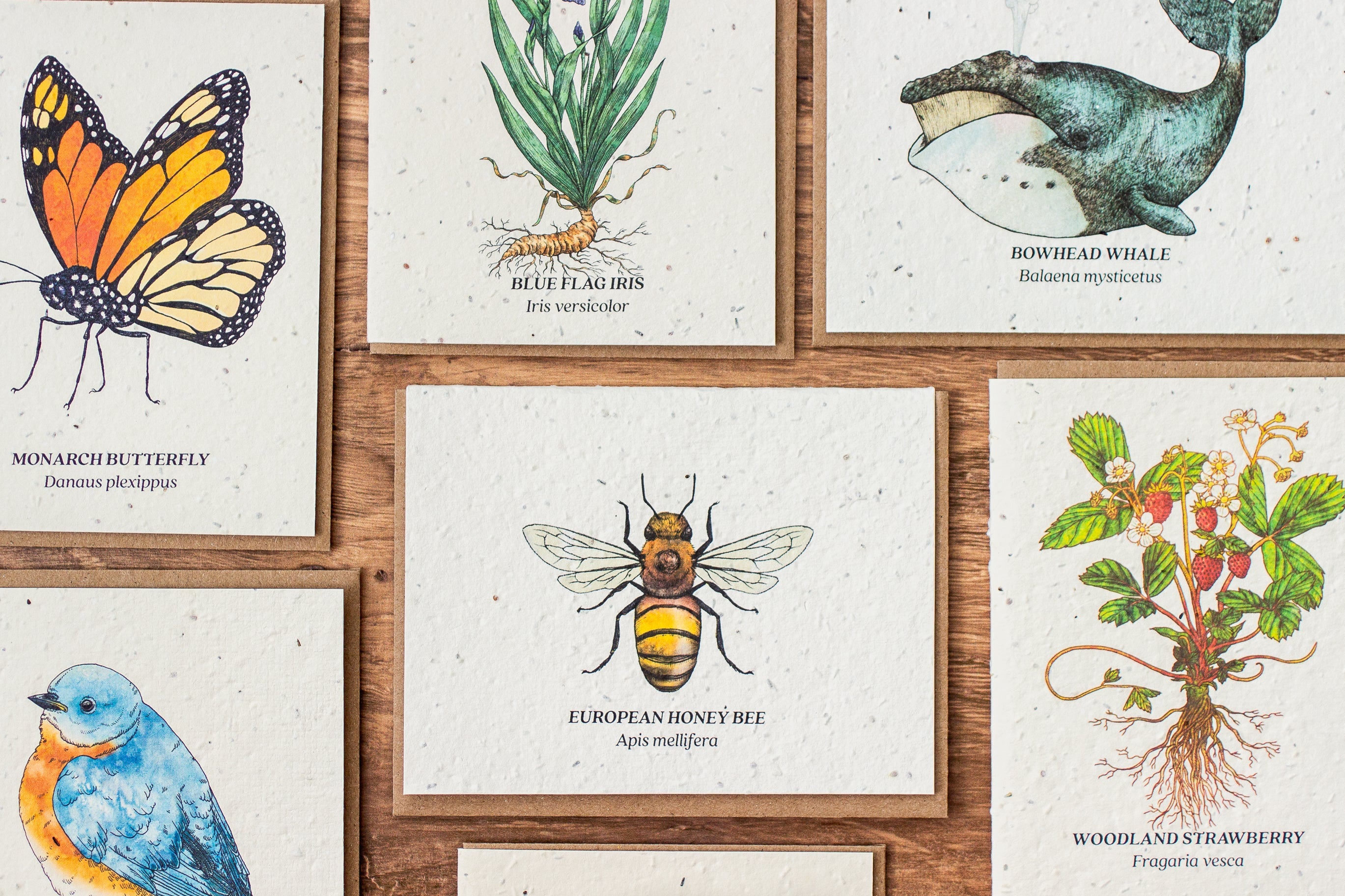 Companies That Give Back