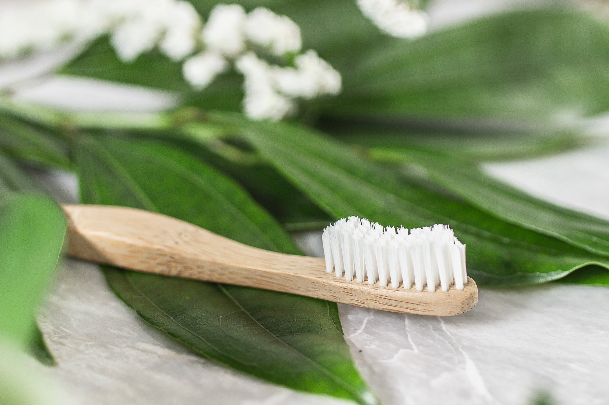 A Drop in the Ocean Sustainable Living Zero Waste Plastic Free Shop Oral Care