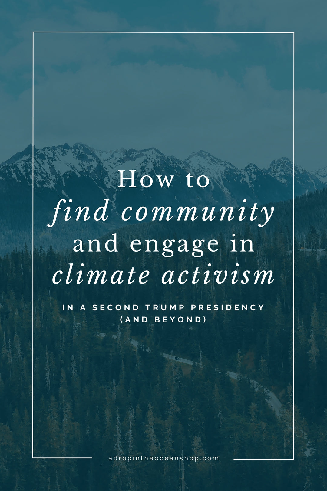 A Drop in the Ocean Zero Waste Blog: How to find community and engage in climate activism