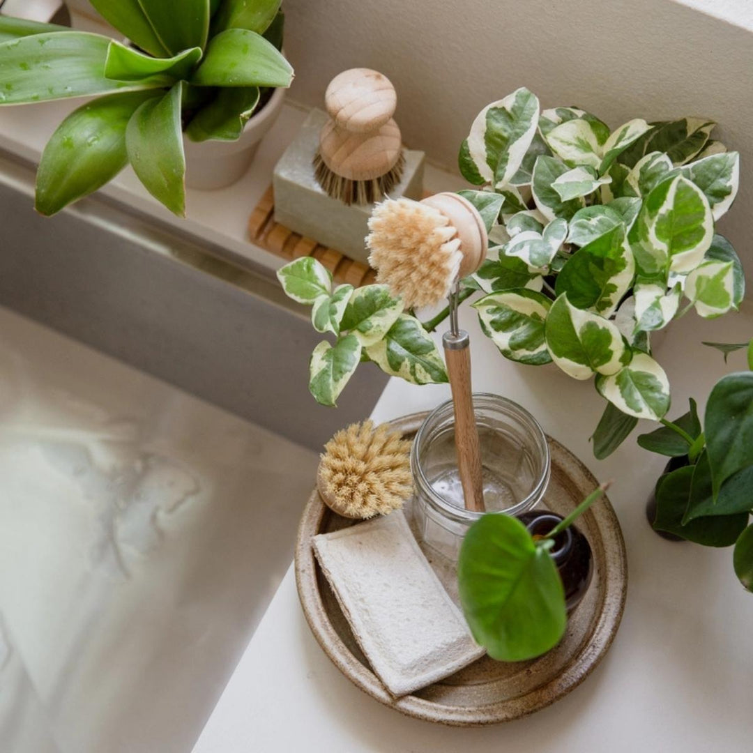 Bamboo Long-Handled Dish Brush