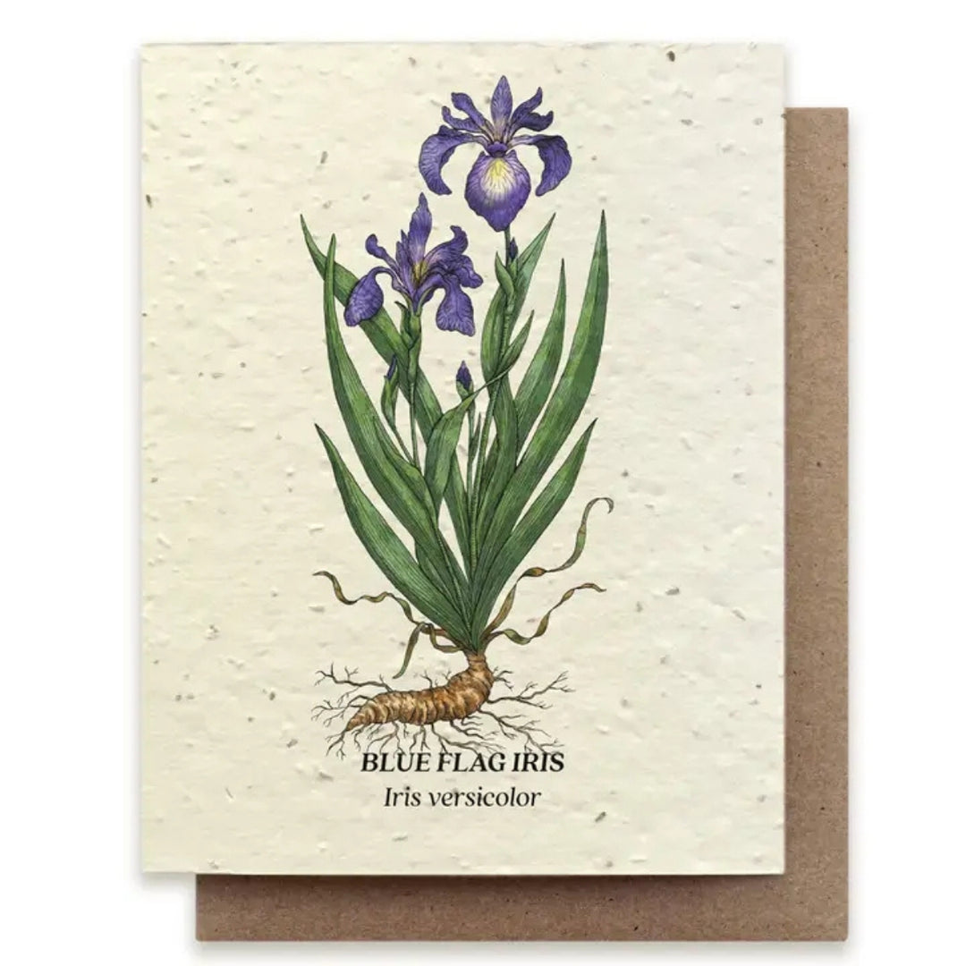 Plantable Seed Paper Greeting Cards (Earth)