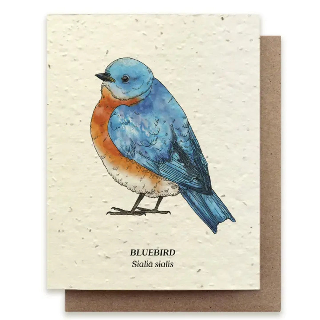 Plantable Seed Paper Greeting Cards (Earth)