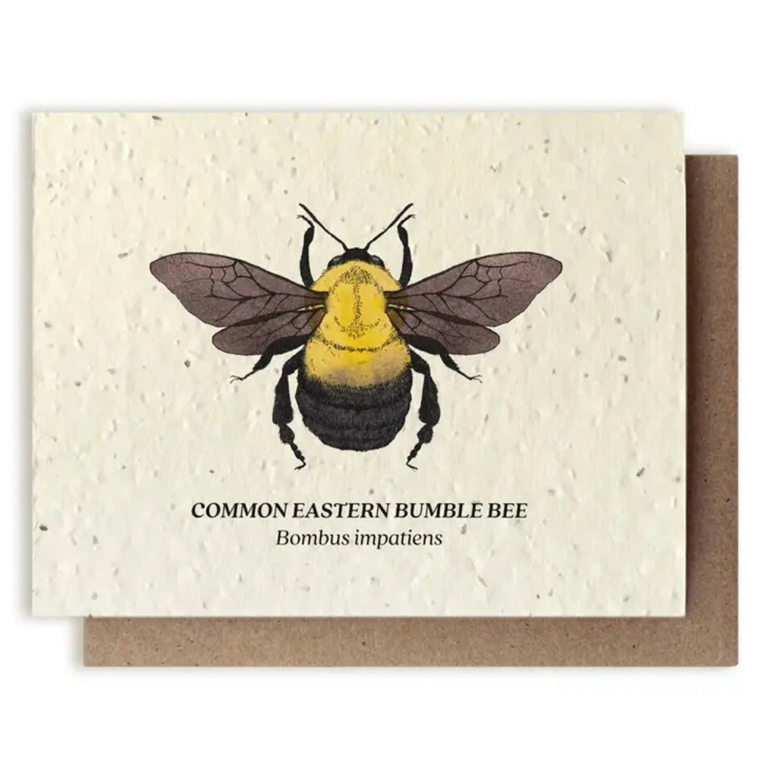 Plantable Seed Paper Greeting Cards (Earth)
