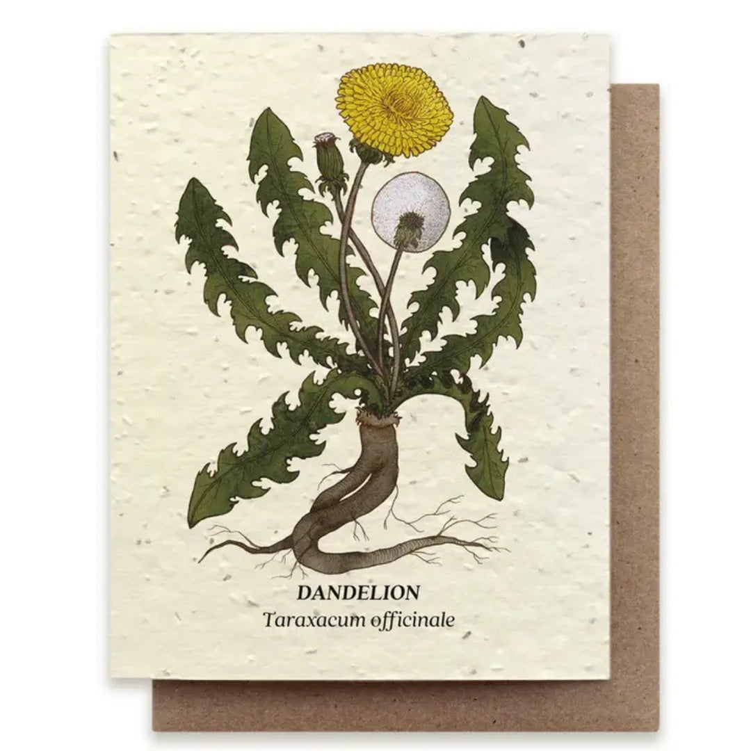 Plantable Seed Paper Greeting Cards (Earth)