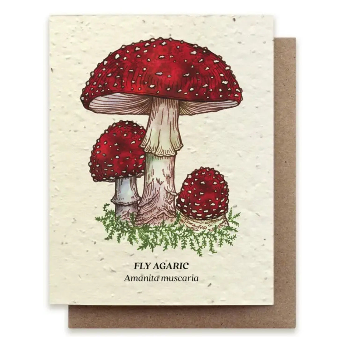 Plantable Seed Paper Greeting Cards (Earth)