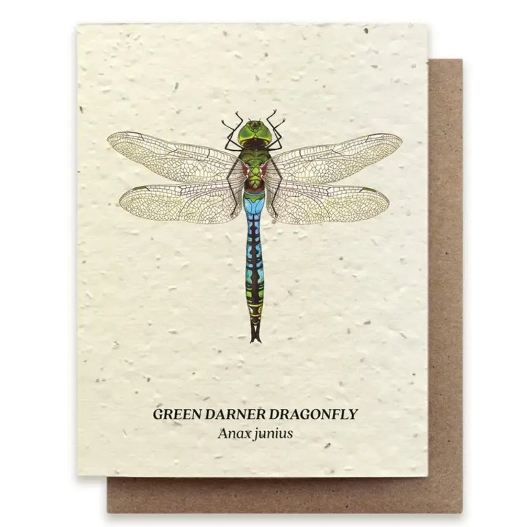Plantable Seed Paper Greeting Cards (Earth)