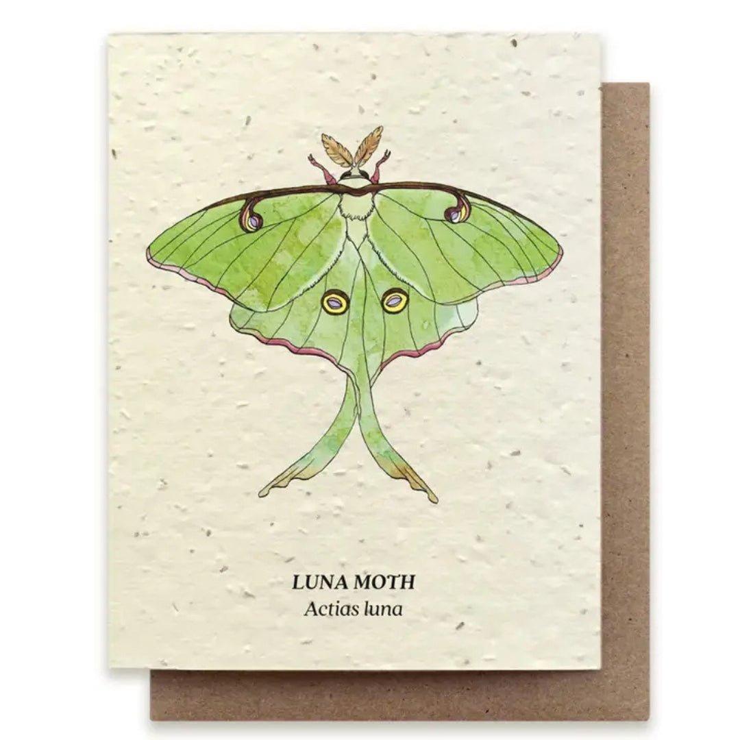 Plantable Seed Paper Greeting Cards (Earth)