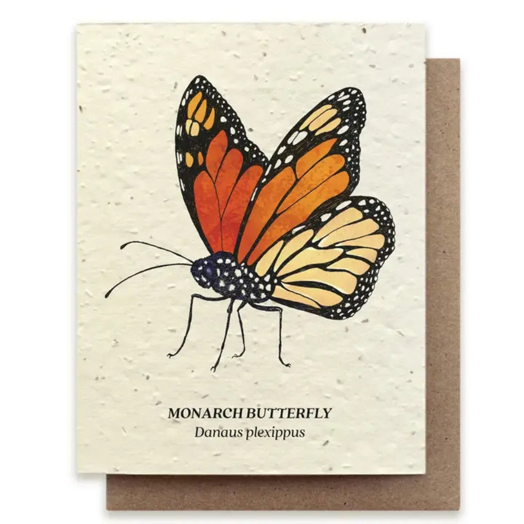 Plantable Seed Paper Greeting Cards (Earth)