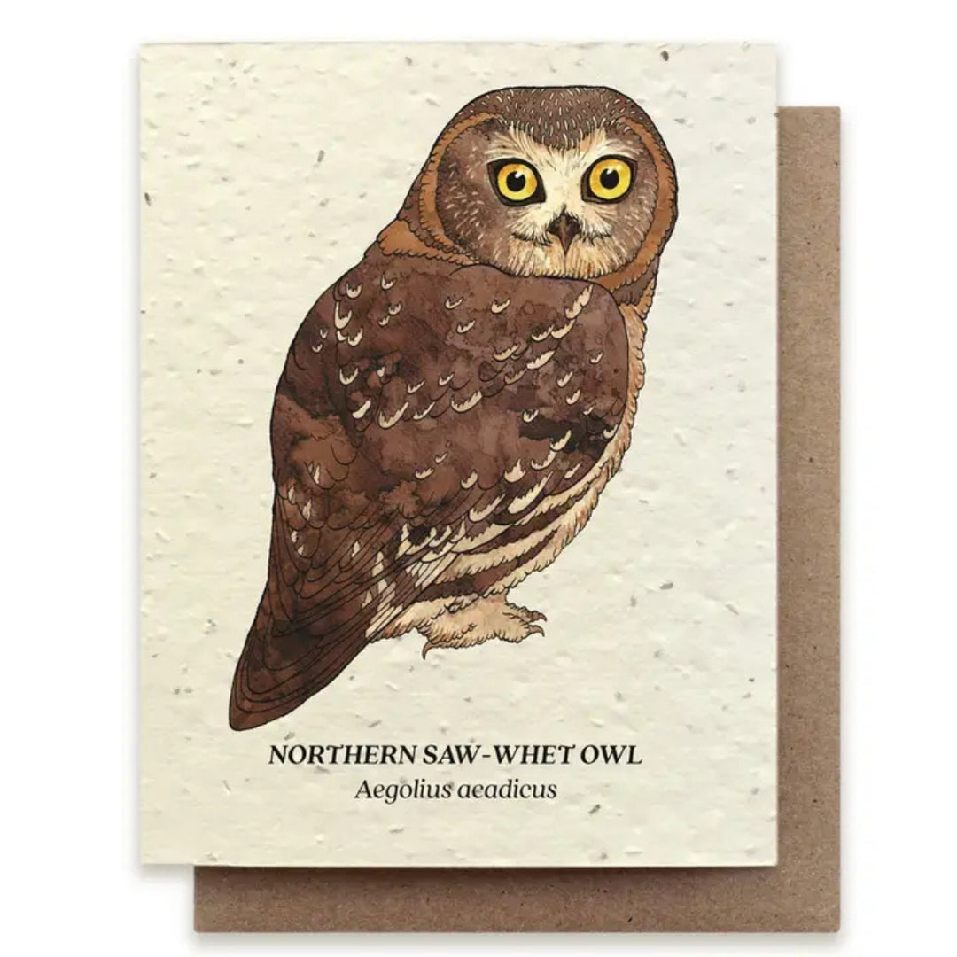 Plantable Seed Paper Greeting Cards (Earth)