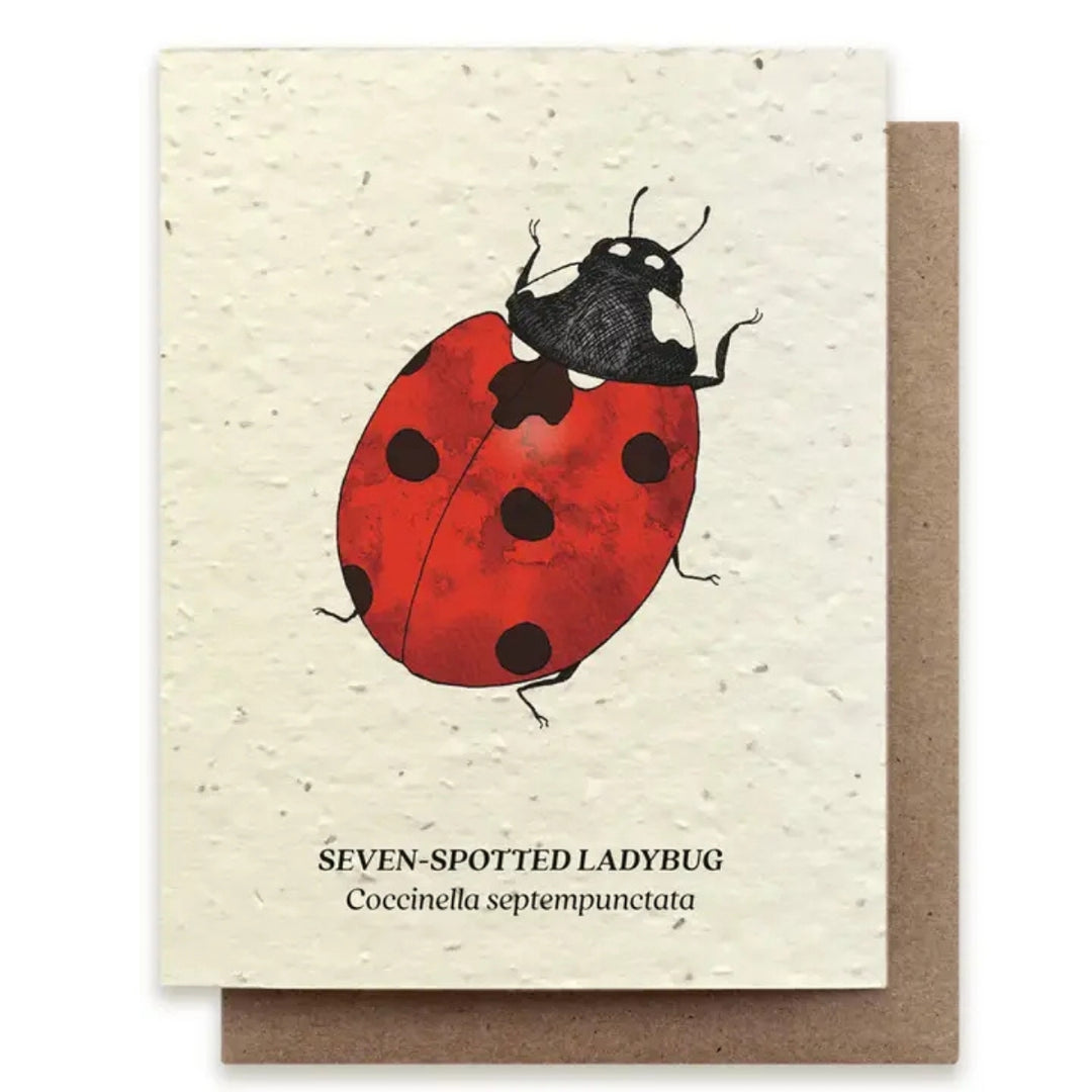 Plantable Seed Paper Greeting Cards (Earth)