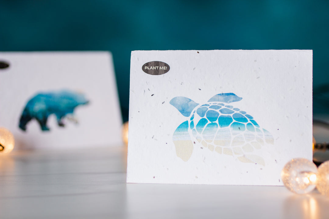 A Drop in the Ocean Zero Waste Store: Plantable Seed Paper Greeting Cards
