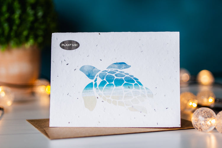 A Drop in the Ocean Zero Waste Store: Plantable Seed Paper Greeting Card - Turtle Beach