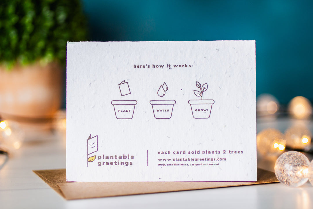 A Drop in the Ocean Zero Waste Store: Plantable Seed Paper Greeting Card - card bacj