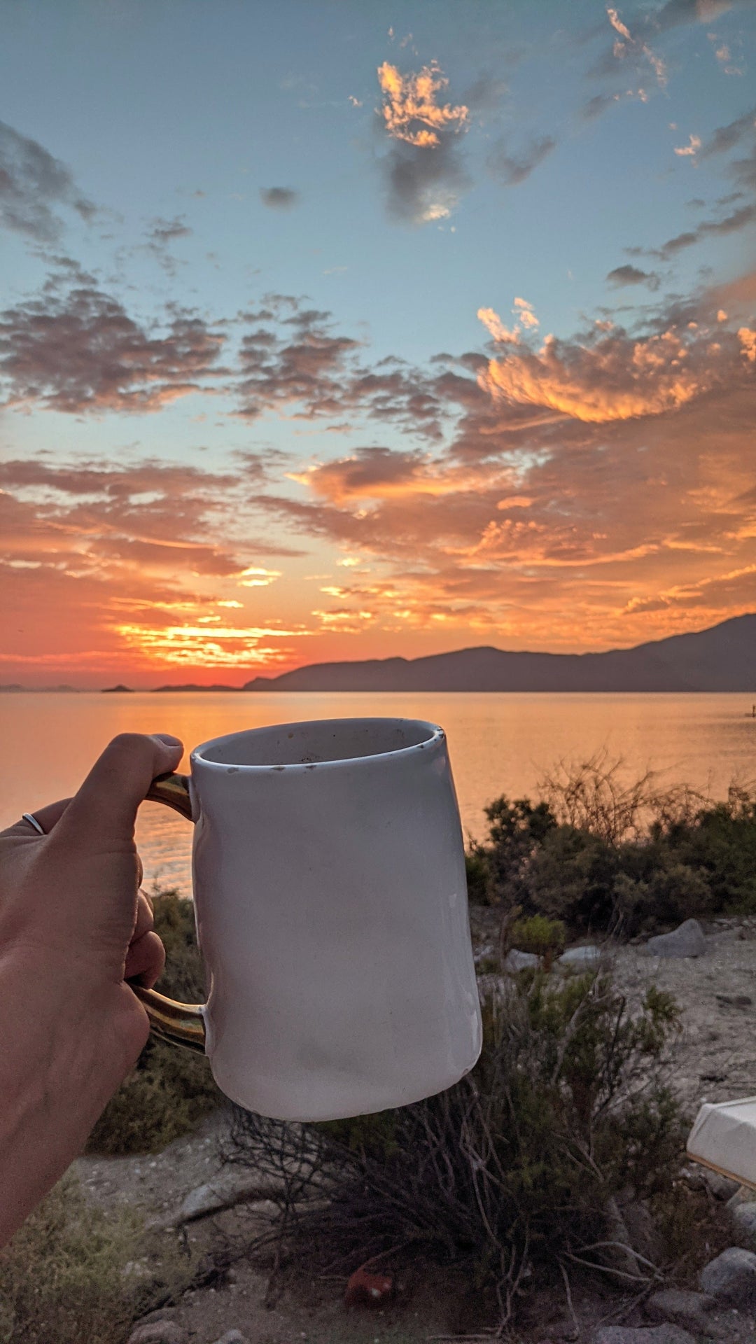 A Drop in the Ocean Baja EcoWarrior Retreat