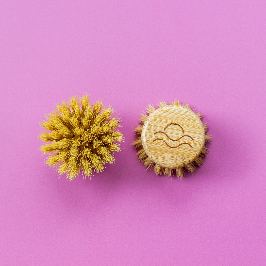 Bamboo Long-Handled Dish Brush