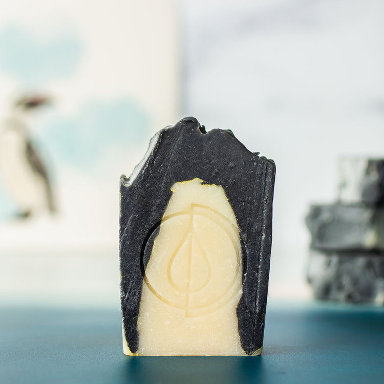 A Drop in the Ocean Zero Waste Store: Penguin Conservation Soap Bar 2